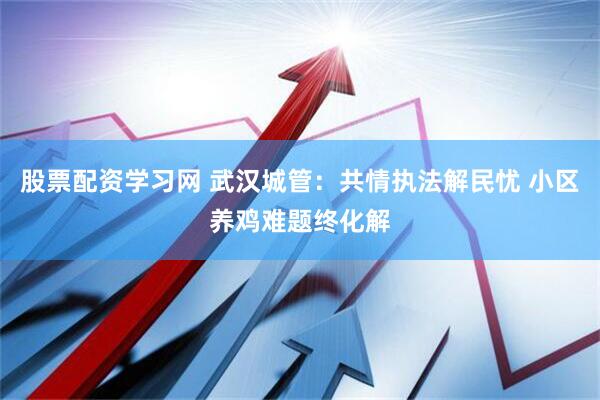股票配资学习网 武汉城管：共情执法解民忧 小区养鸡难题终化解