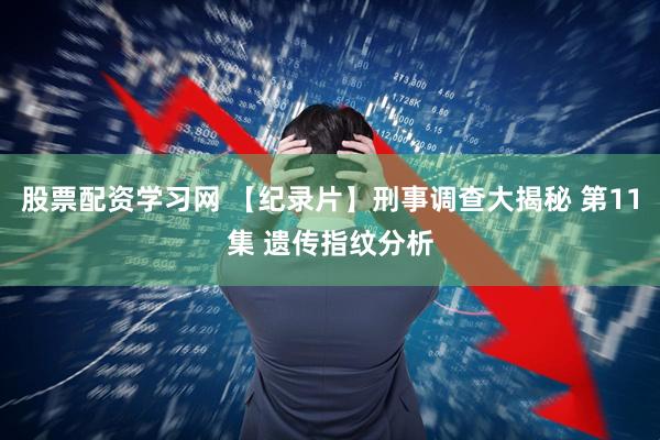 股票配资学习网 【纪录片】刑事调查大揭秘 第11集 遗传指纹分析