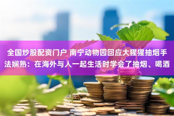 全国炒股配资门户 南宁动物园回应大猩猩抽烟手法娴熟：在海外与人一起生活时学会了抽烟、喝酒