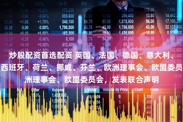 炒股配资首选配资 英国、法国、德国、意大利、加拿大、爱尔兰、西班牙、荷兰、挪威、芬兰、欧洲理事会、欧盟委员会，发表联合声明
