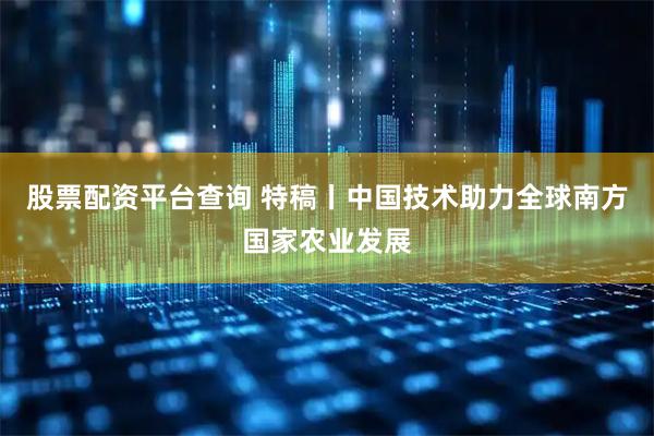 股票配资平台查询 特稿丨中国技术助力全球南方国家农业发展