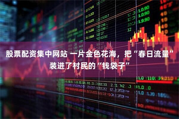 股票配资集中网站 一片金色花海，把“春日流量”装进了村民的“钱袋子”