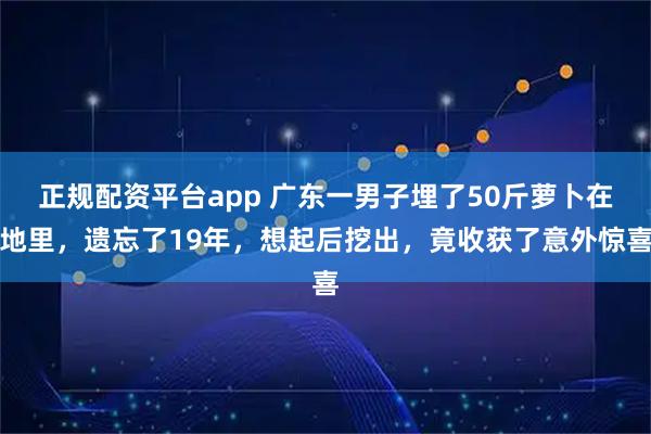 正规配资平台app 广东一男子埋了50斤萝卜在地里，遗忘了19年，想起后挖出，竟收获了意外惊喜