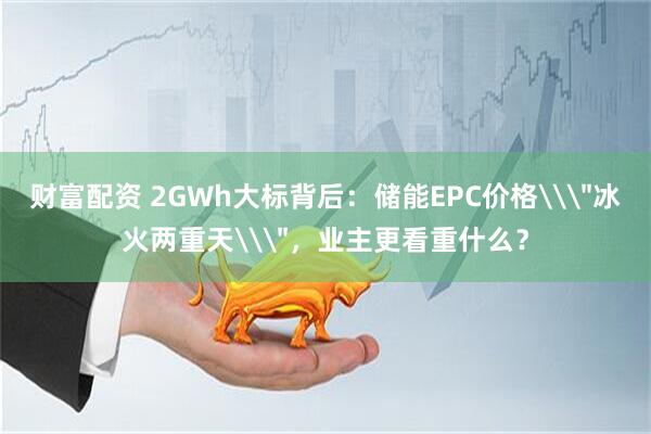 财富配资 2GWh大标背后：储能EPC价格\＂冰火两重天\＂，业主更看重什么？