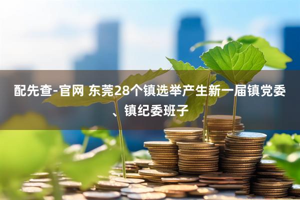配先查-官网 东莞28个镇选举产生新一届镇党委、镇纪委班子