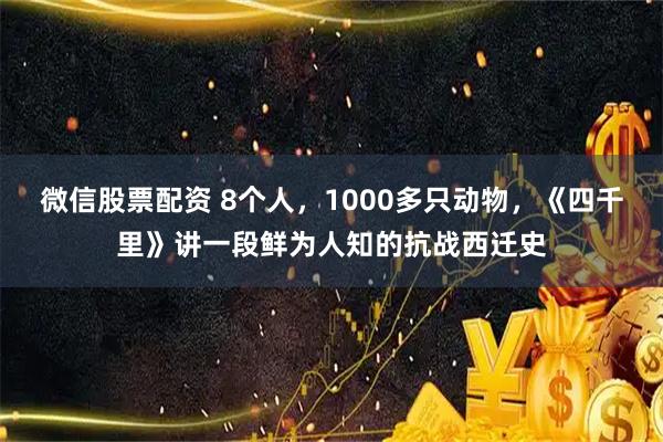 微信股票配资 8个人，1000多只动物，《四千里》讲一段鲜为人知的抗战西迁史